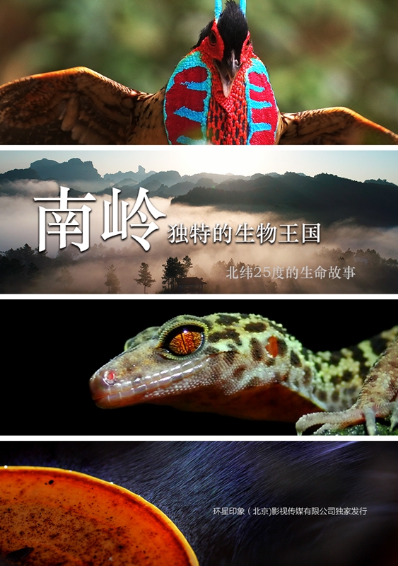 巨幕《南岭：独特的生物王国》